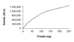 Sino Biological&nbsp;Recombinant Human PI3K (p110 alpha/p85 alpha) Protein (p110 alpha (E545K)/ p85 alpha, GST Tag), Active
